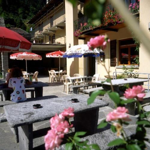 Общежитие Ristorante Alpino