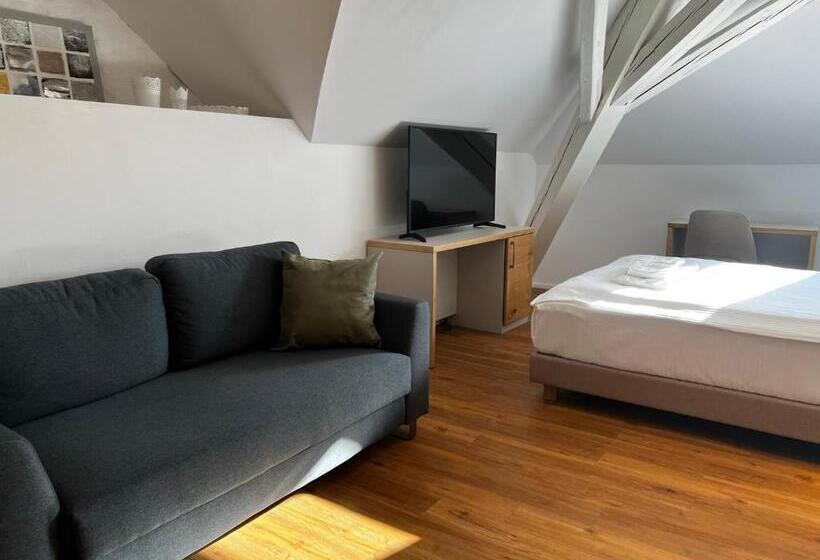 旅馆 Smartroom Hotel Rössli Hunzenschwil