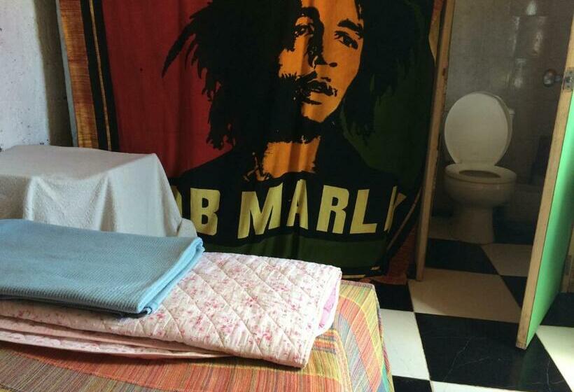 هاستل Viejo Lobo