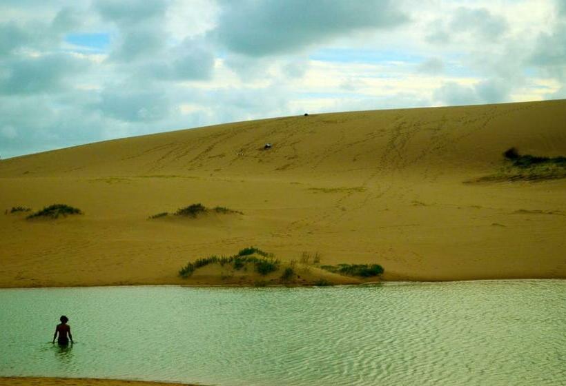 هاستل Viejo Lobo