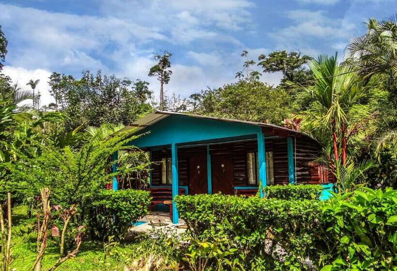 צימר Cabinas Río Celeste La Amistad