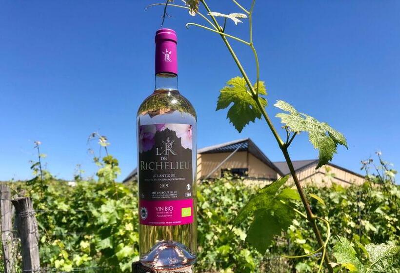 住宿加早餐  Château Richelieu