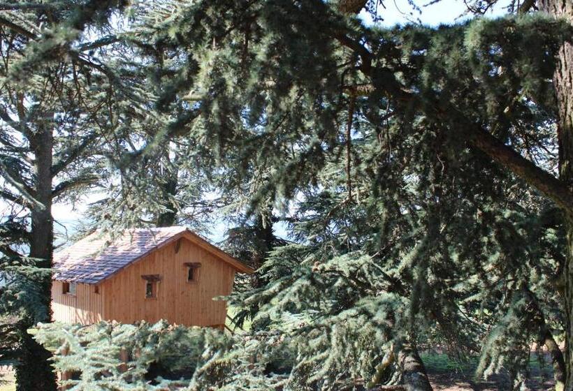 مبيت وإفطار Domaine Des Grands Cèdres