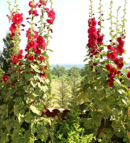 צימר Le Clos Des Malézolles