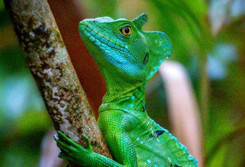 ベッドアンドブレックファースト Monte Terras