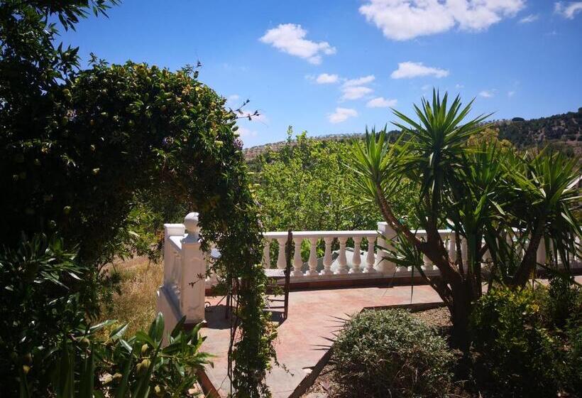Casa Joya