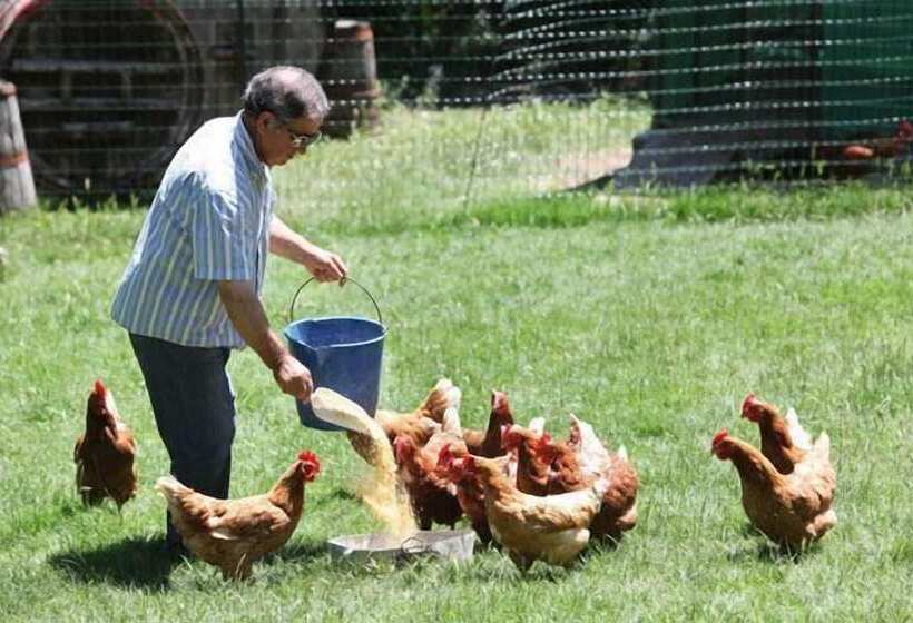 호텔 Agriturismo Il Castello