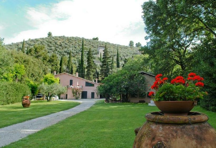 호텔 Agriturismo L'ulivo