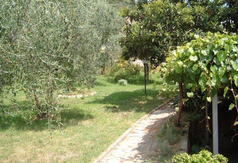 فندق B&b L Uliveto