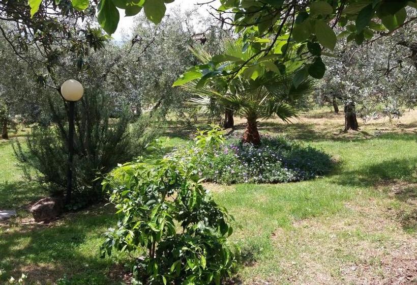 فندق B&b L Uliveto