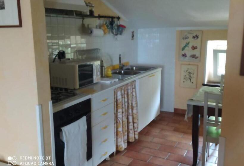 فندق B&b L Uliveto