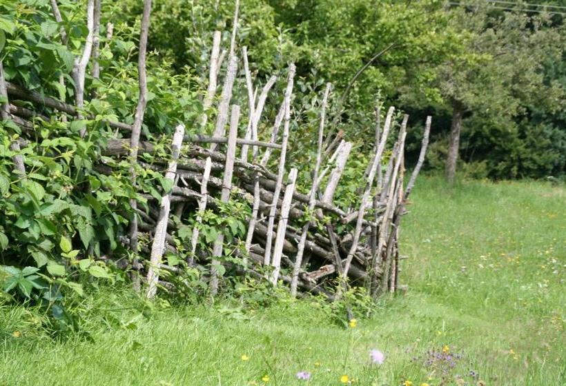 بنسيون Gasthof Ferm
