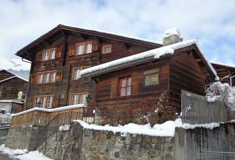 膳宿费 Gasthof Surselva