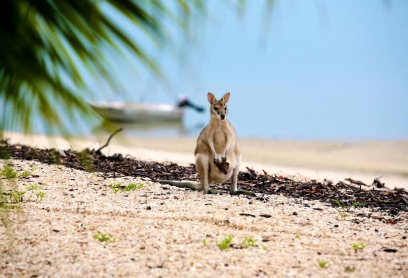 אתר נופש Crab Claw Island