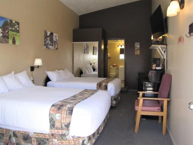 ユースホステル Bear Country Inn And Suites