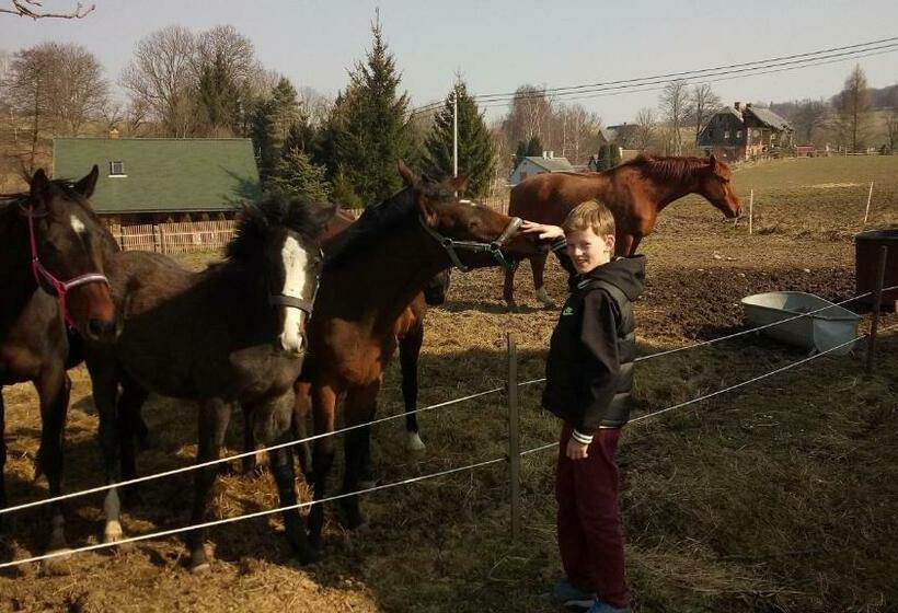 Общежитие Country Club Konírna