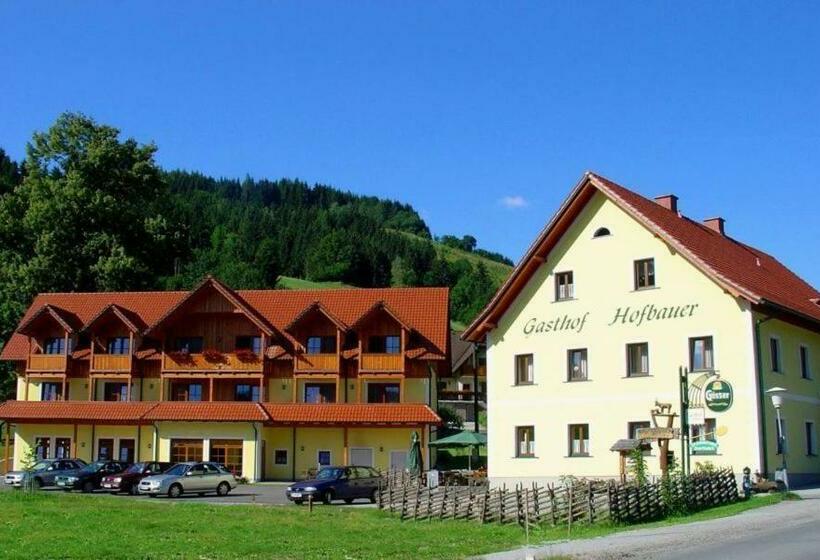 Общежитие Gasthof Hofbauer