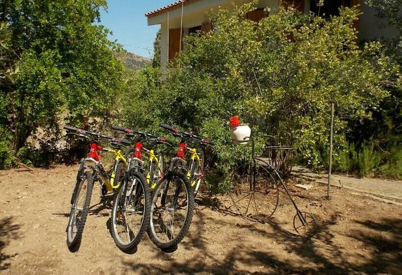B&b Sette Fratelli