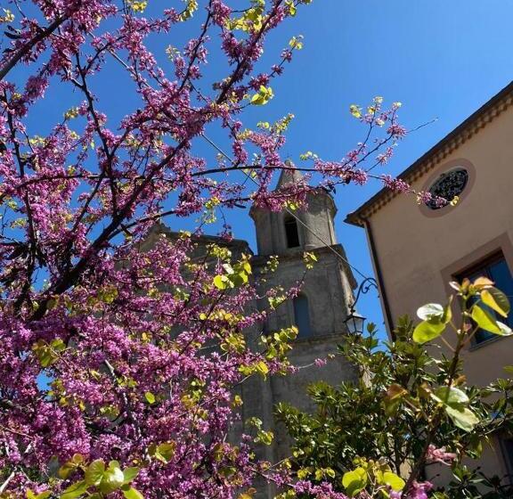 민박 Casa Vacanze Primula Palinuri