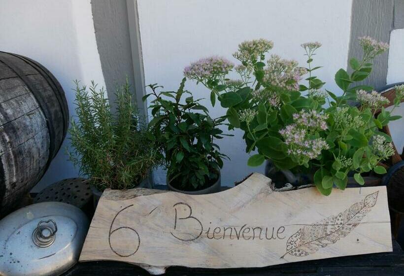 Bed and Breakfast Chambres D'hôtes La Bouill'hôte