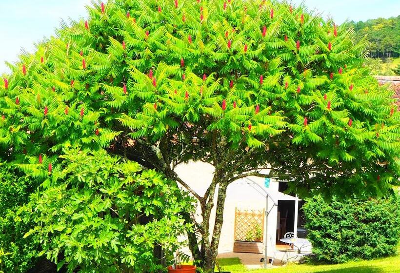 住宿加早餐  La Belle Verte