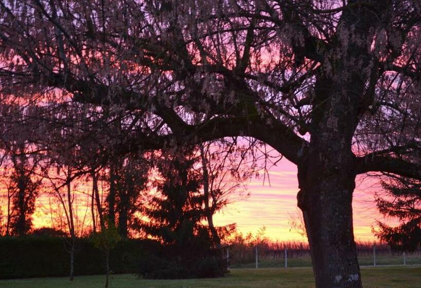 ベッドアンドブレックファースト Maison D Hôtes La Prévôté