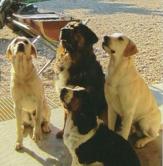 ベッドアンドブレックファースト Maison D Hôtes La Prévôté