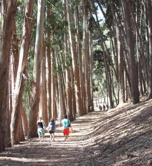 Cabañas Hostel Aquario Papudo