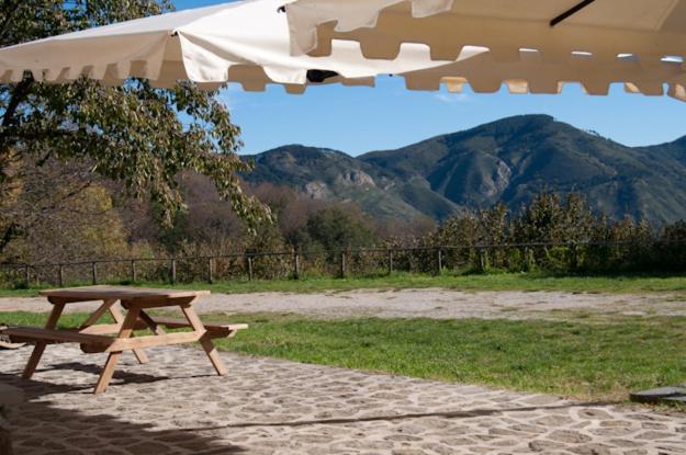 فندق Agriturismo Il Vignale