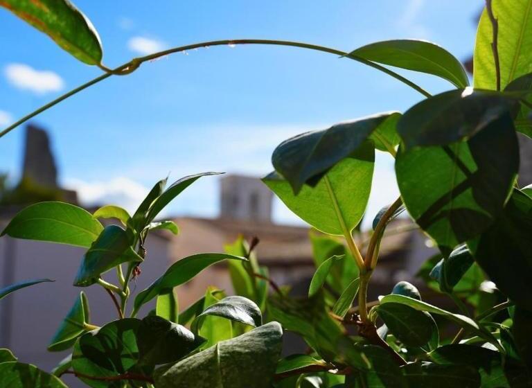 فندق Al Piccolo Borgo Locanda Con Alloggio