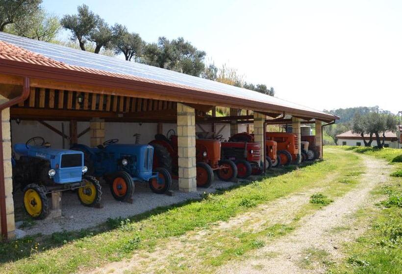 בית מלון כפרי Eco Bio Agriturismo Santacinnara