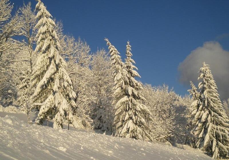 בית מלון כפרי Höhenstein