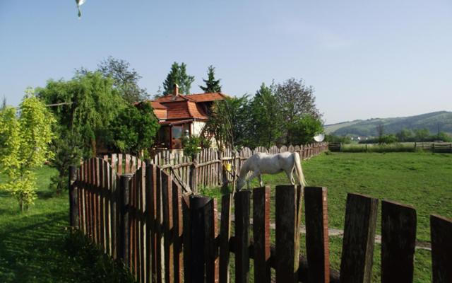 פנסיון Folyóka Vendégház