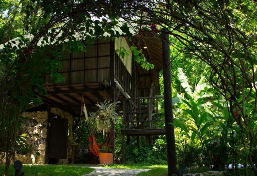 پانسیون Monte Verde Hostal