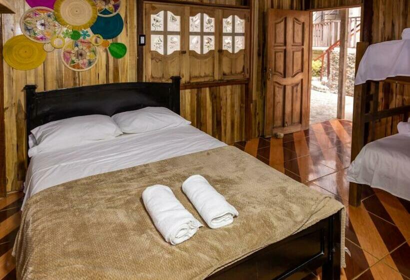 هاستل Deep Forest Posadas Ecoturisticas