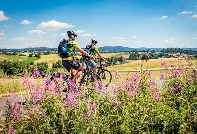 Общежитие Familiengasthof Schaller