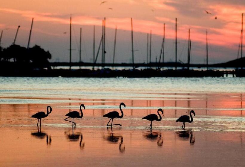 ベッドアンドブレックファースト Le Flamant Rouge Guesthouse