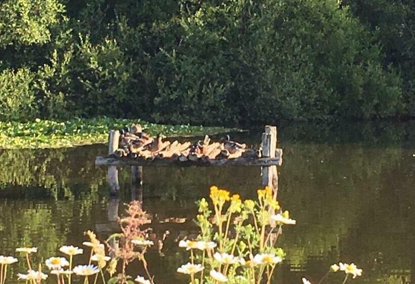 민박 Maison D'hôtes Les Escures