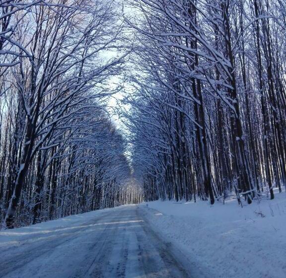 민박 Pénzpataki Vadászház