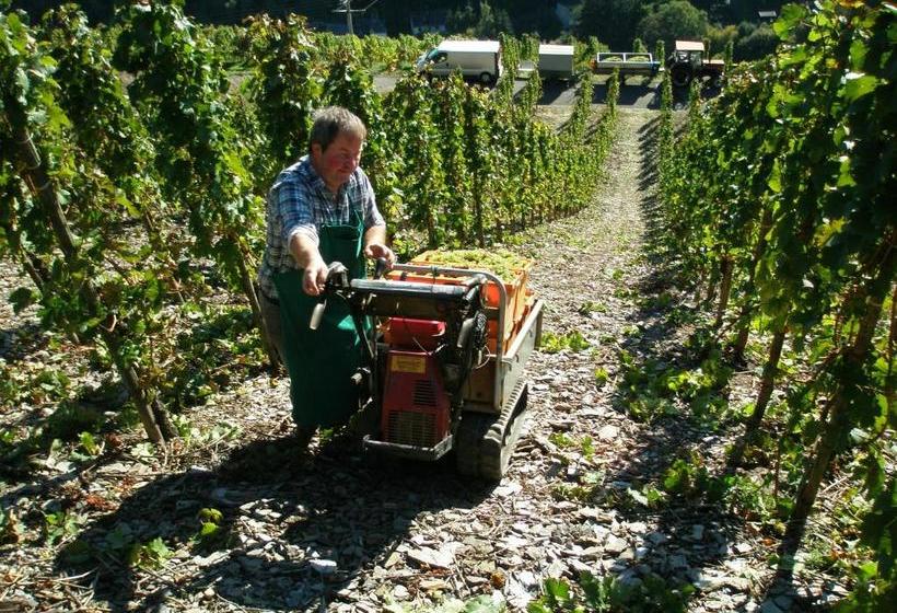 ベッドアンドブレックファースト Weingut U. Gästehaus Menten