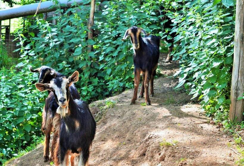 فندق Agriturismo E Turre