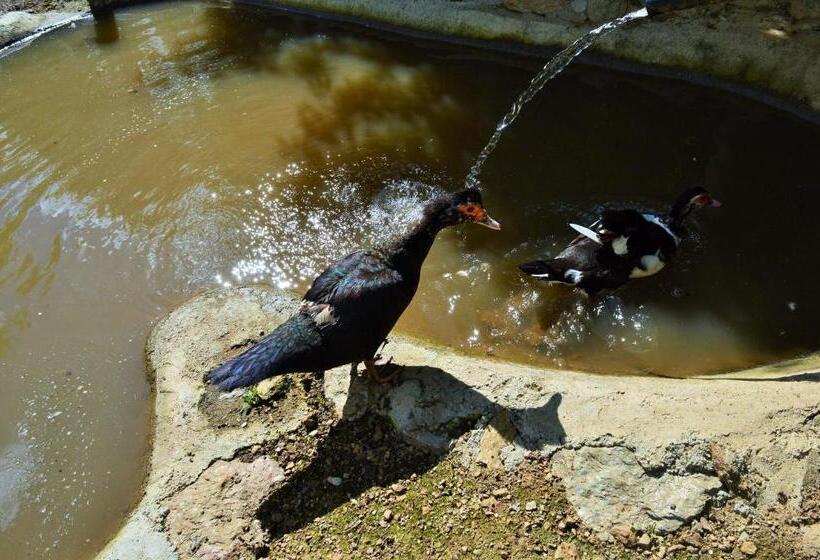 فندق Agriturismo E Turre