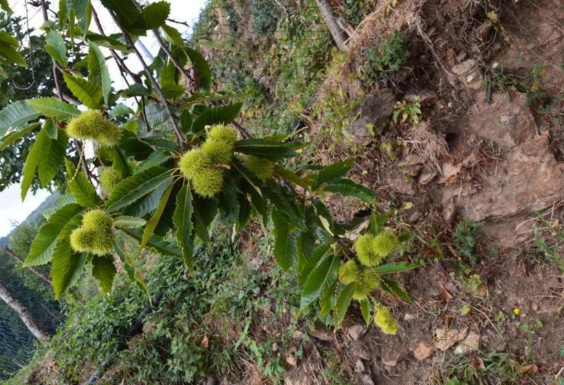 فندق Agriturismo E Turre