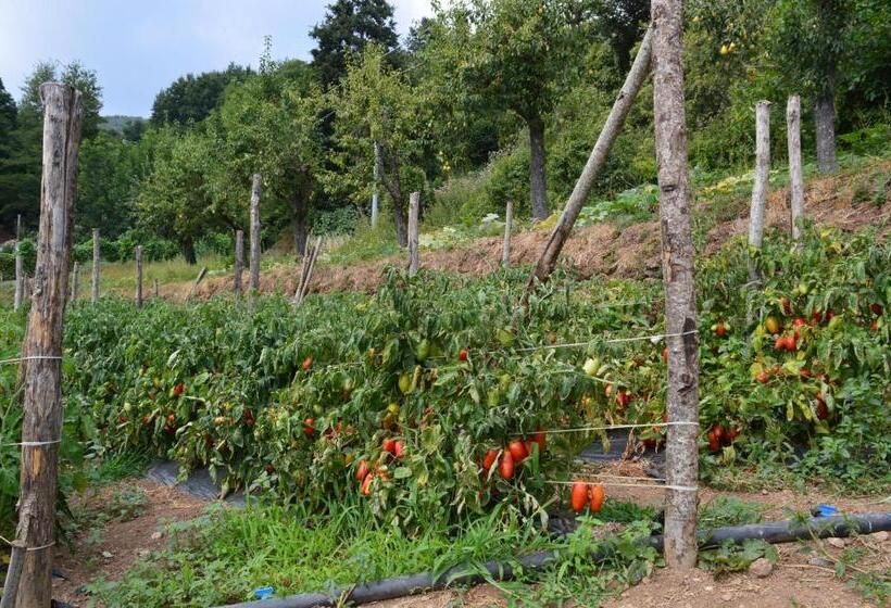 فندق Agriturismo E Turre