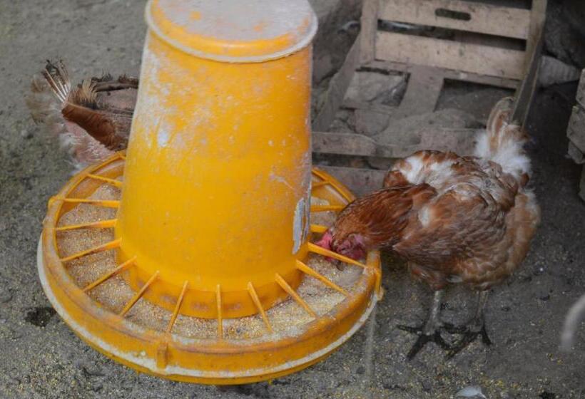 فندق Agriturismo E Turre