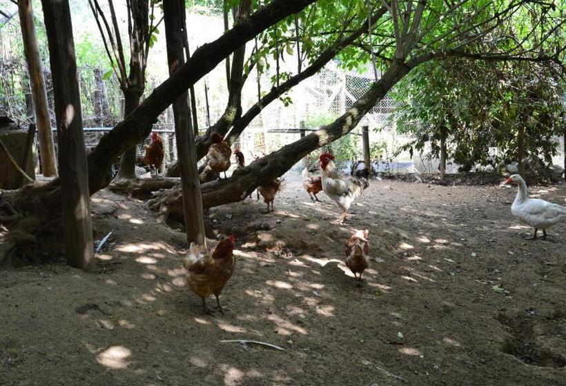 فندق Agriturismo E Turre