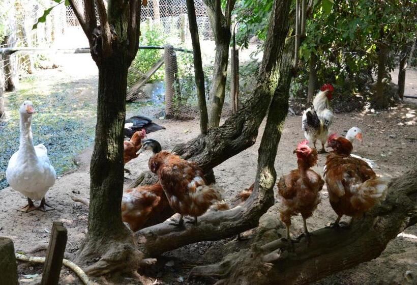 فندق Agriturismo E Turre