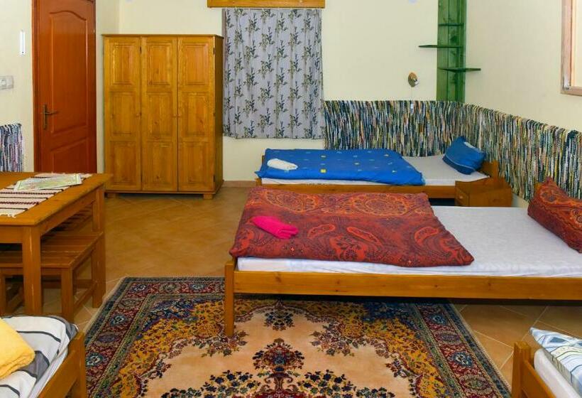 Отель Nyakigláb Villa