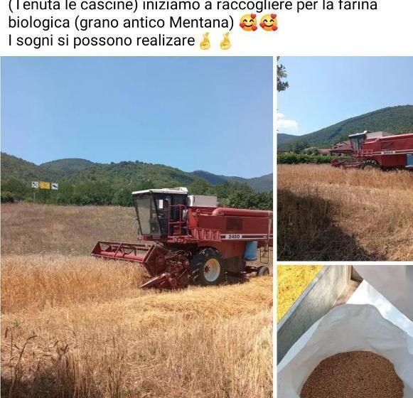 فندق Tenuta Le Cascine