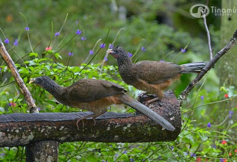 فندق Tinamu Birding